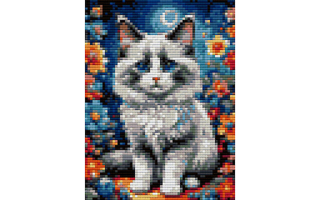 Ragdoll cat diamond art painting pattern